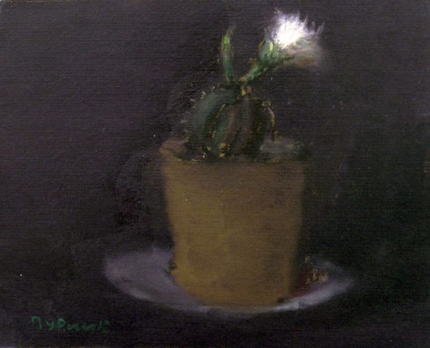 КАКТУС РАСПУСКАЕТСЯ ЗА ПОЛНОЧЬ... 1976.